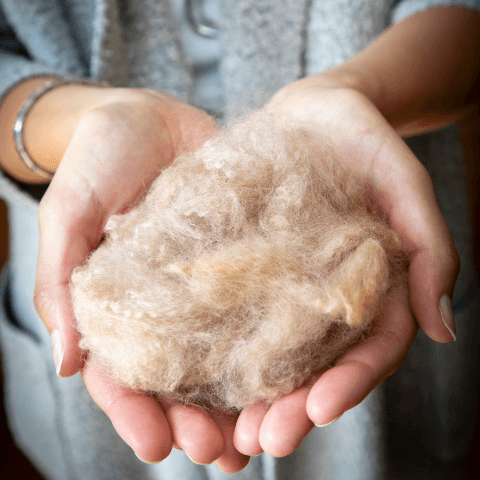 What is Baby Alpaca Wool? – Peruvian Nuna